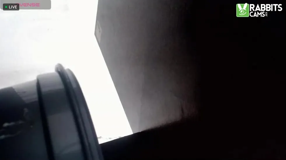 Intérprete SebasTheAngel Video 1