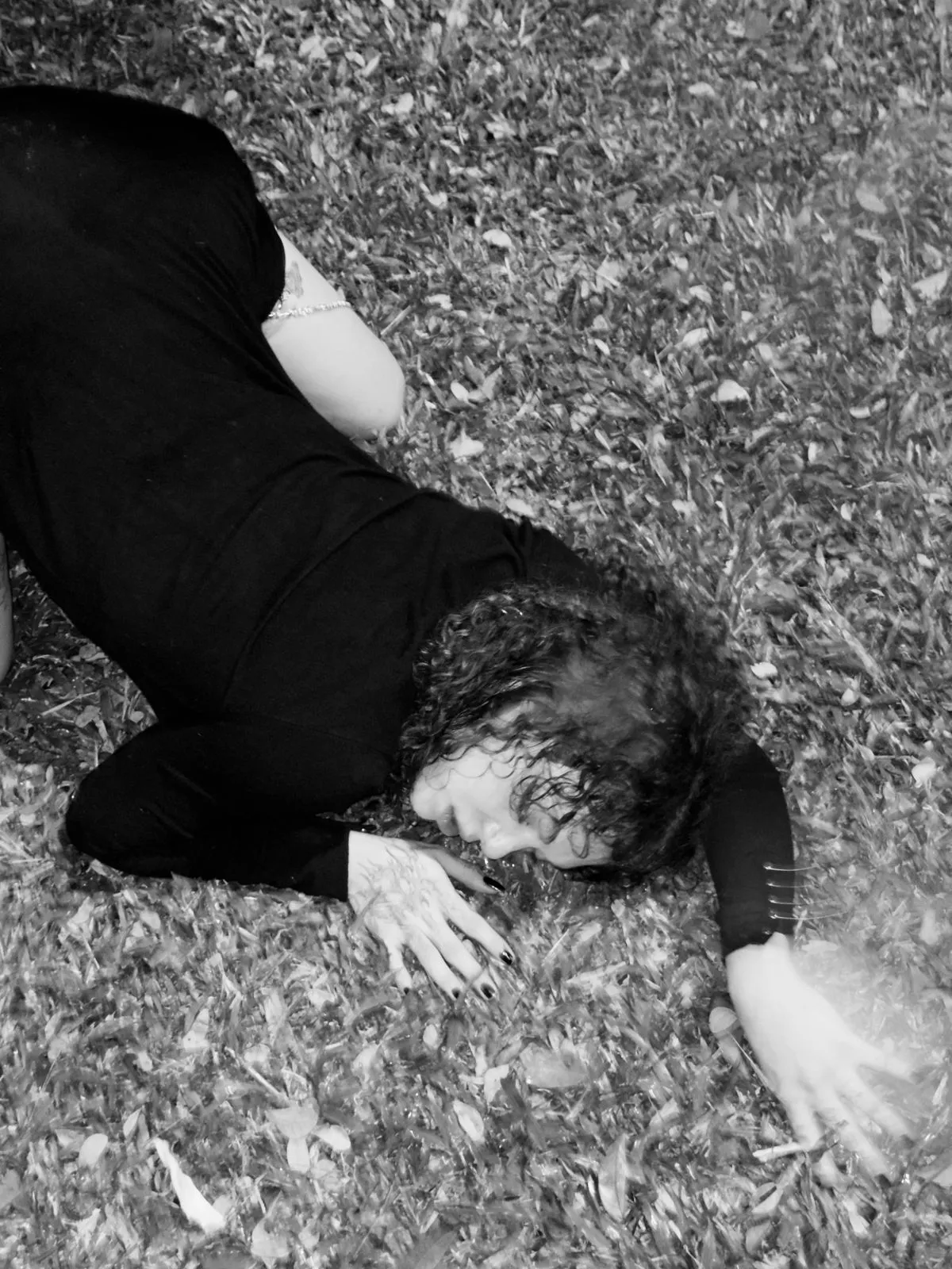 Intérprete MentalLagoon Foto 12