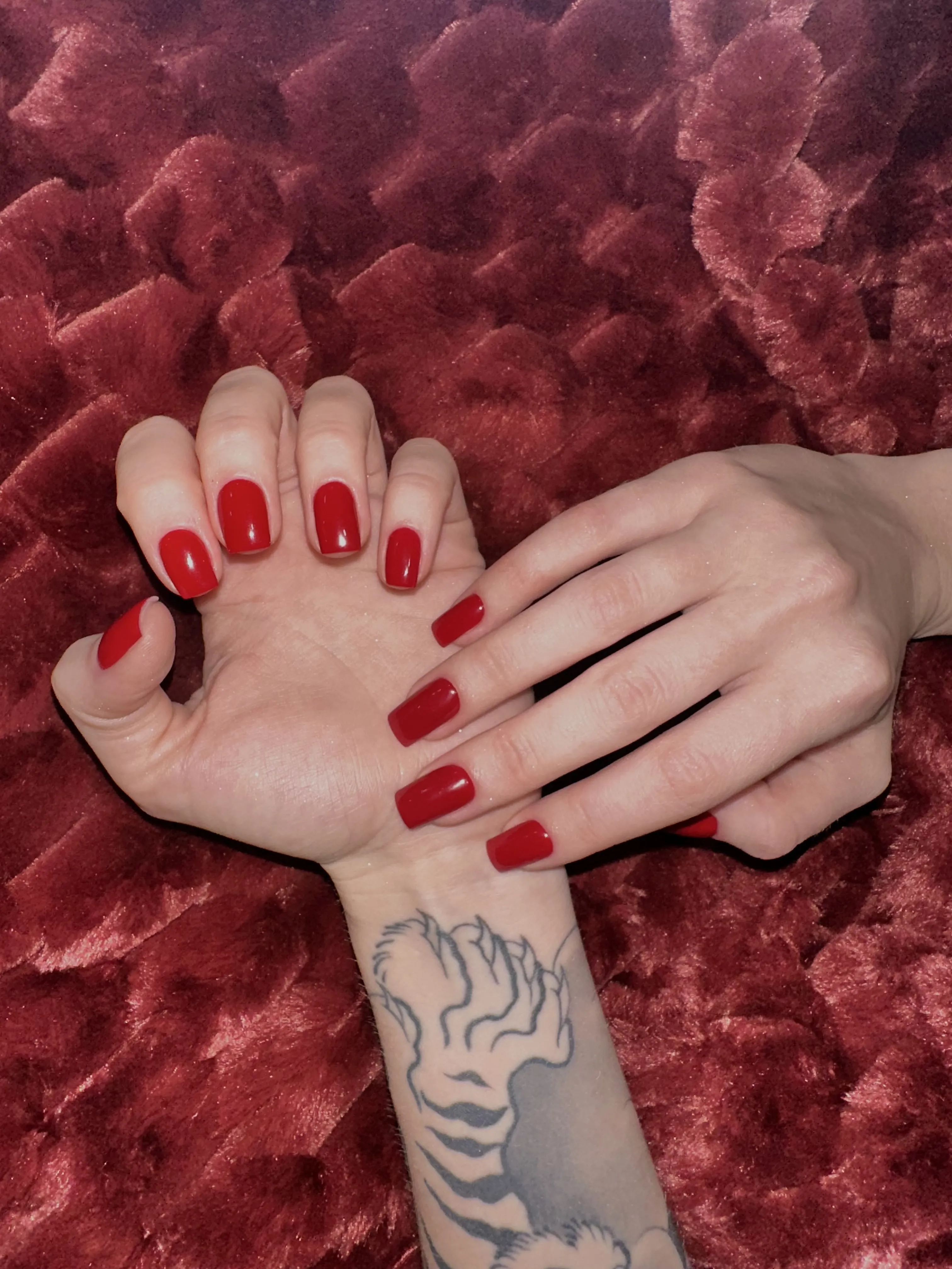 Performer She_Tora Photo 10