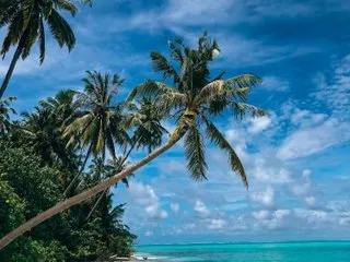 marky_mark_hot profilbild på webbkameramodell