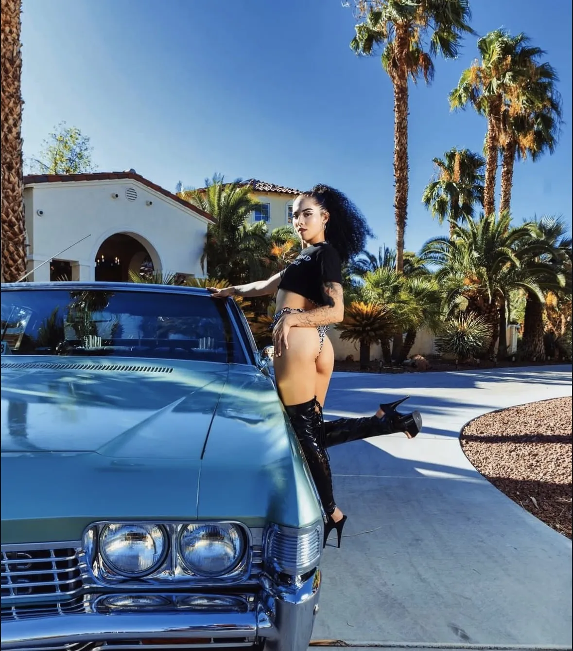 Interprete ToriiHayze Foto 1