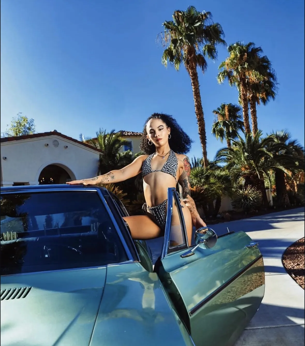 Interprete ToriiHayze Foto 3