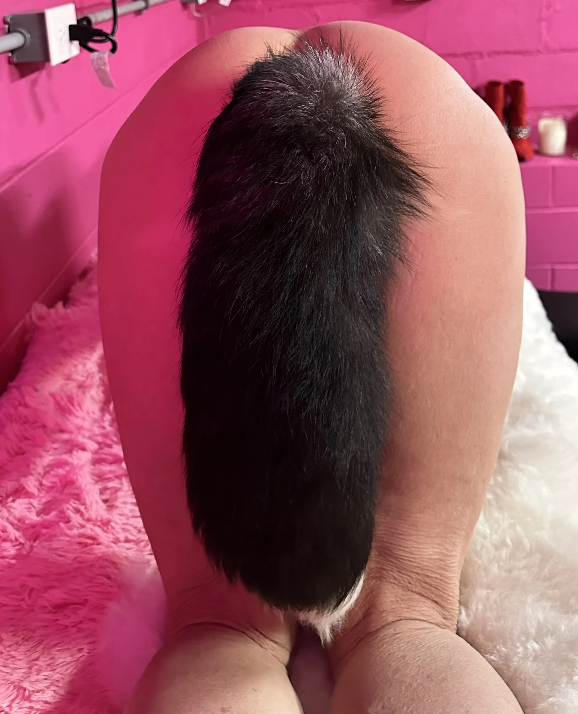 Utøver BriannaSteeleXO Bilde 4