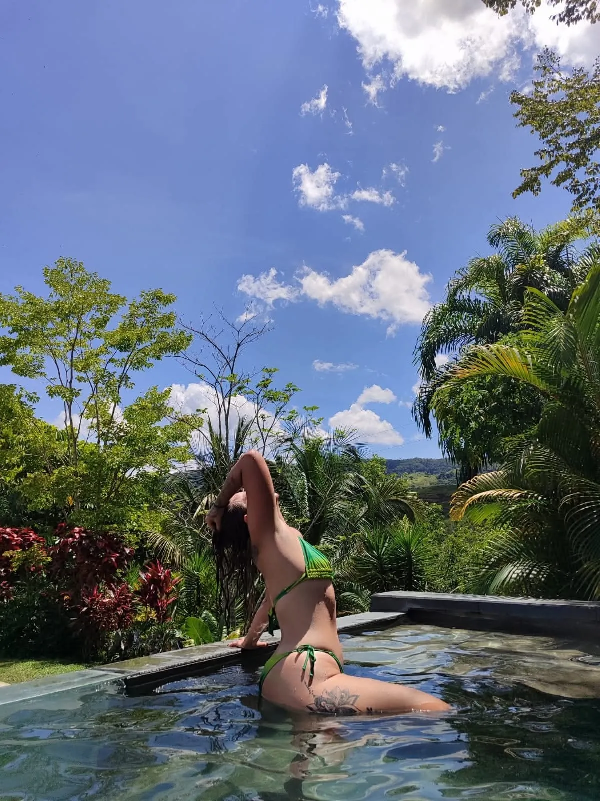 Interprète perlagoloza Photo 6