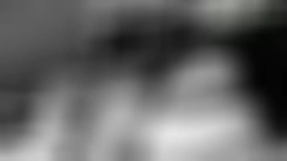 Interprete JasmineNastie Video 1