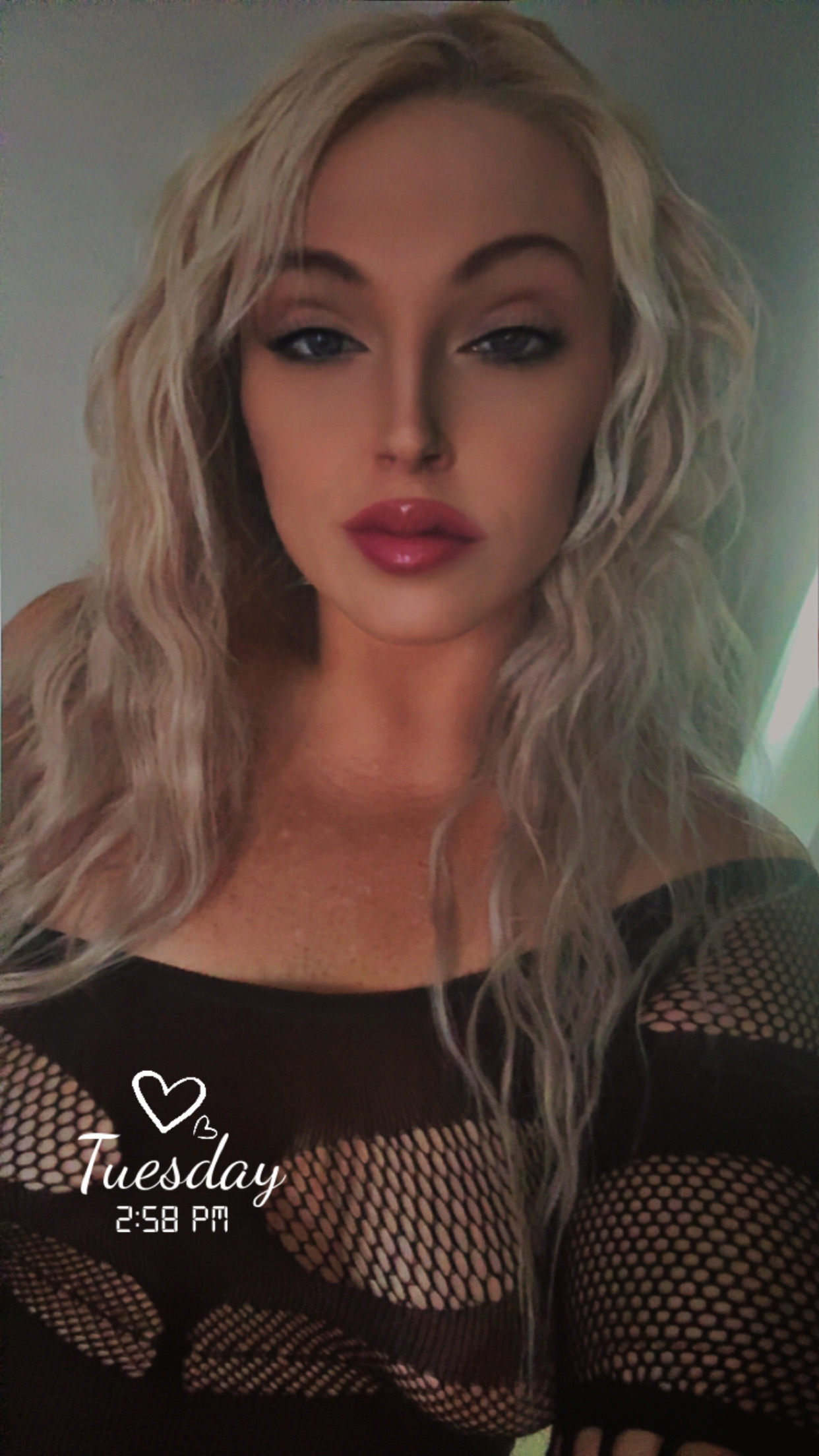 Interprète DottiBoogotti Photo 4