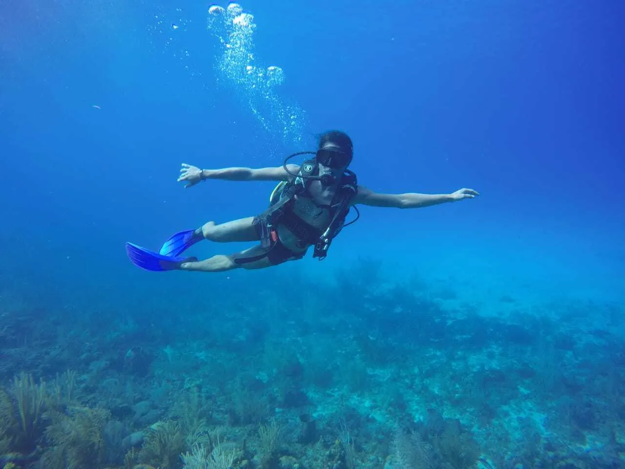 Utøver SwitchLioBBC Bilde 11