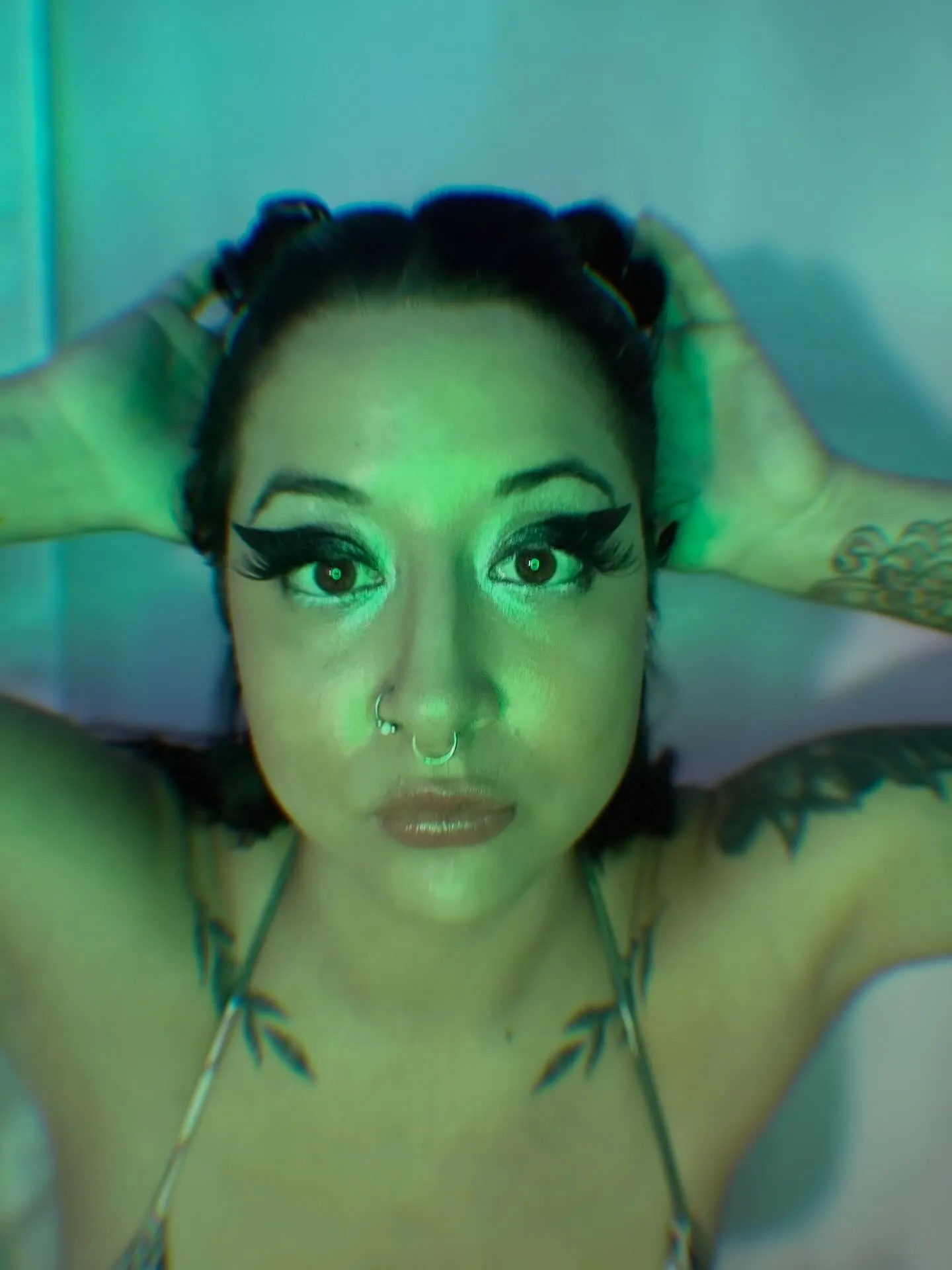 Interprète AstraPlease Photo 5