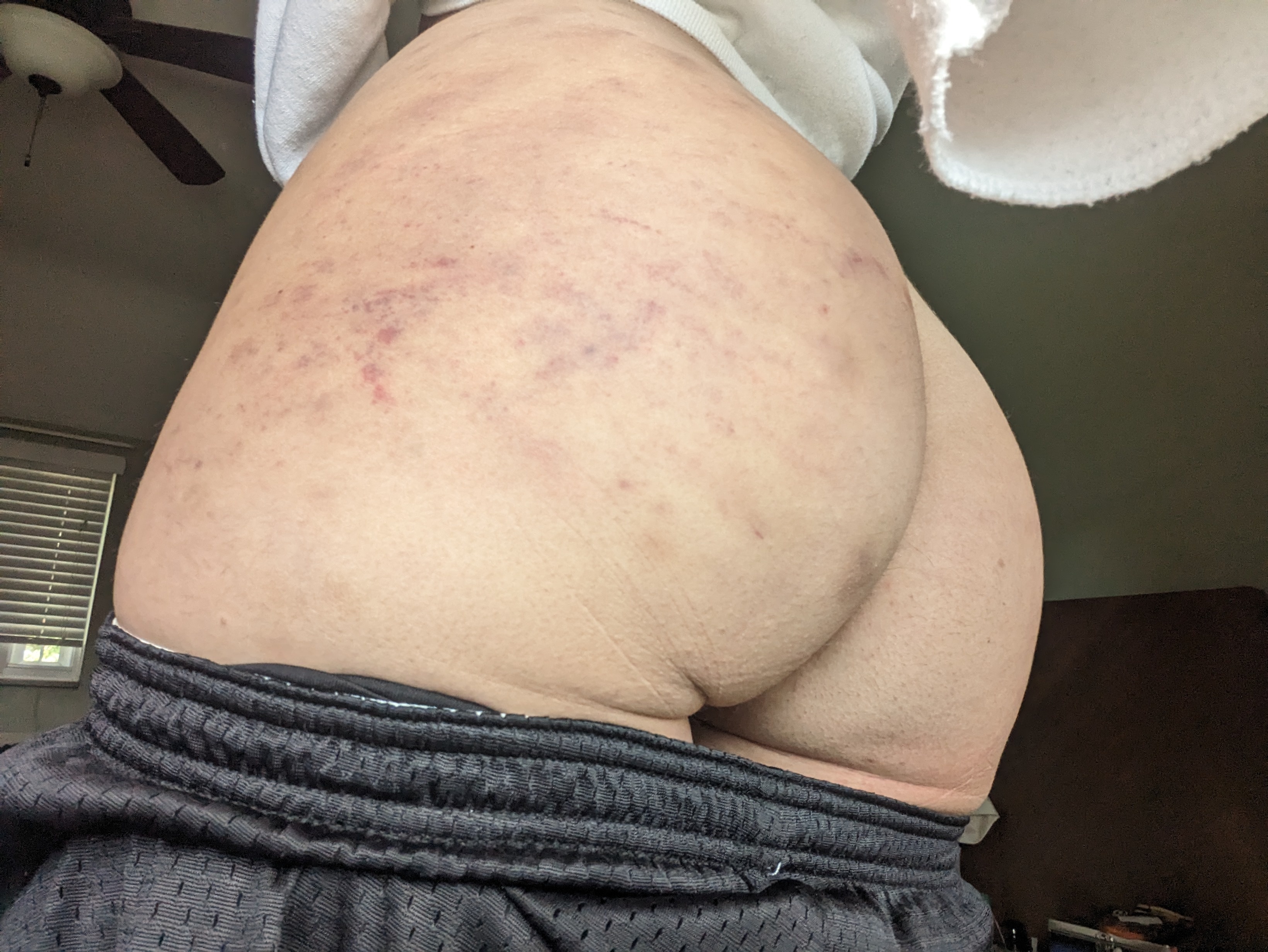 Interprete SofiaJuliet Foto 2