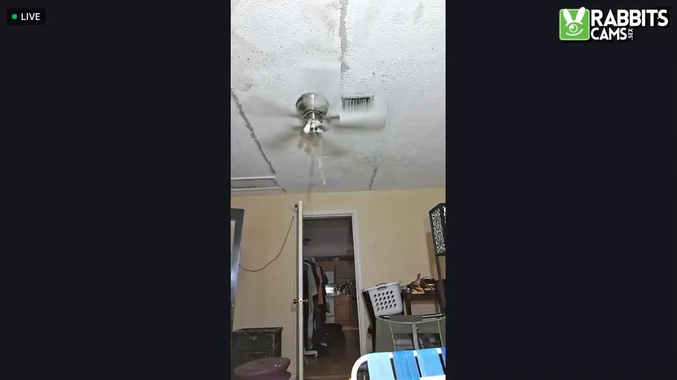 Performer AngelWalker26 Video 1