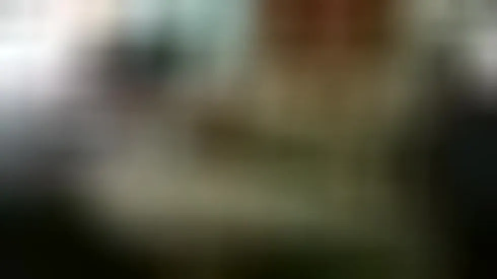 Interprete Indian_Blaze00 Video 1