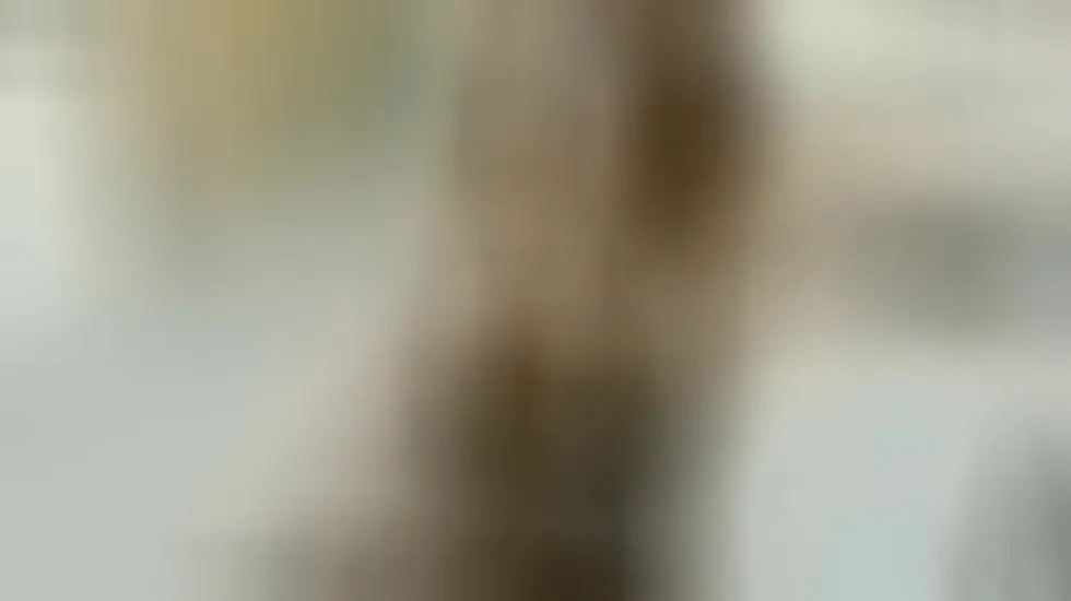 Interprète Lena_Ferrero Vidéo 1