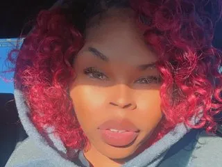 BigNAS immagine del profilo del modello di cam