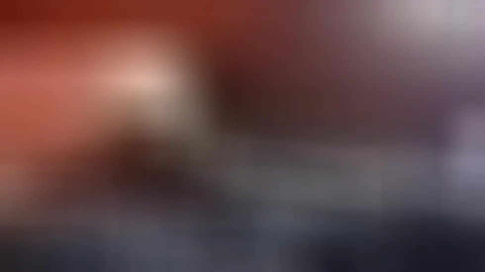 Interprete ImBullLM Video 1