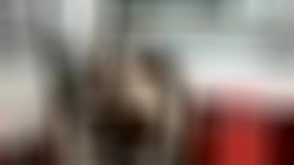 Performer any_vlenmor Video 1