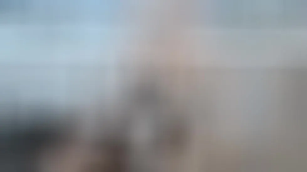 Artista Elizabeth_Dumont Video 1