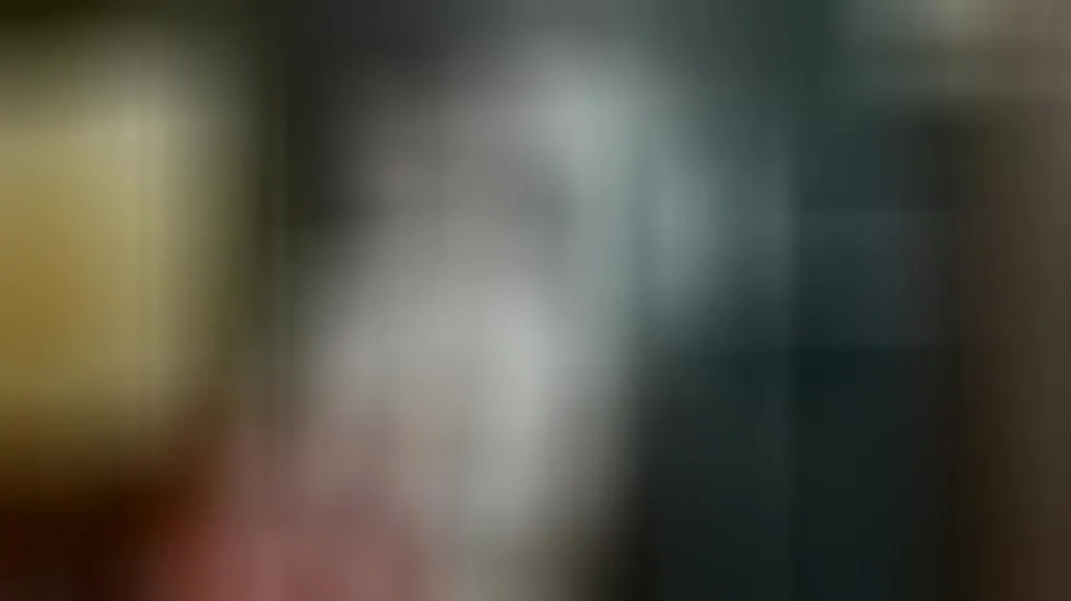 Intérprete VelloTouch Video 1