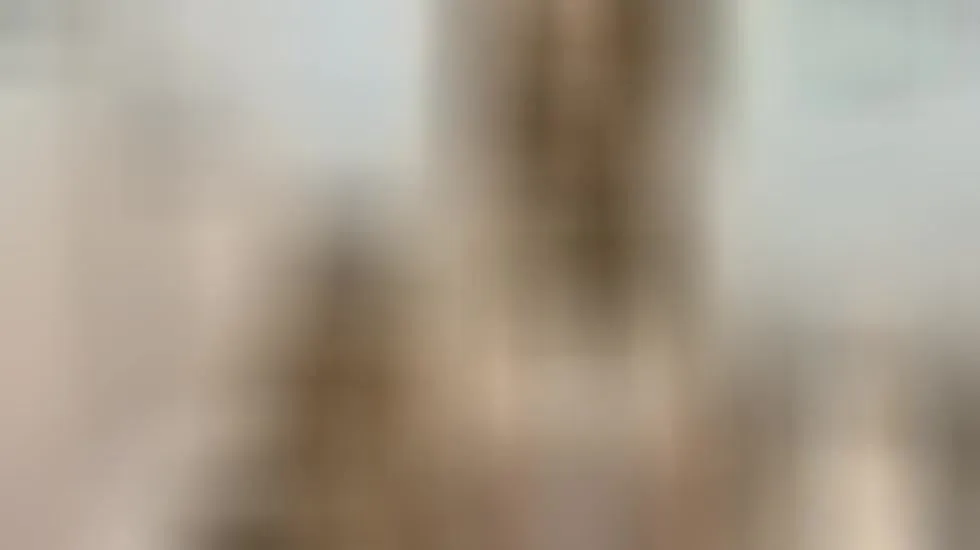Interprète OrianaLaurent Vidéo 1