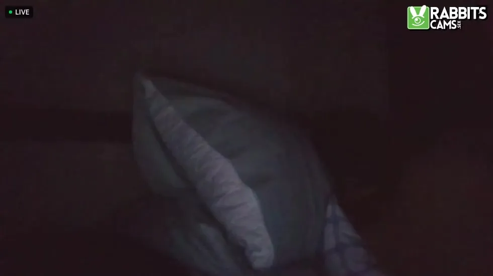 Interprete Fun_guy45 Video 1