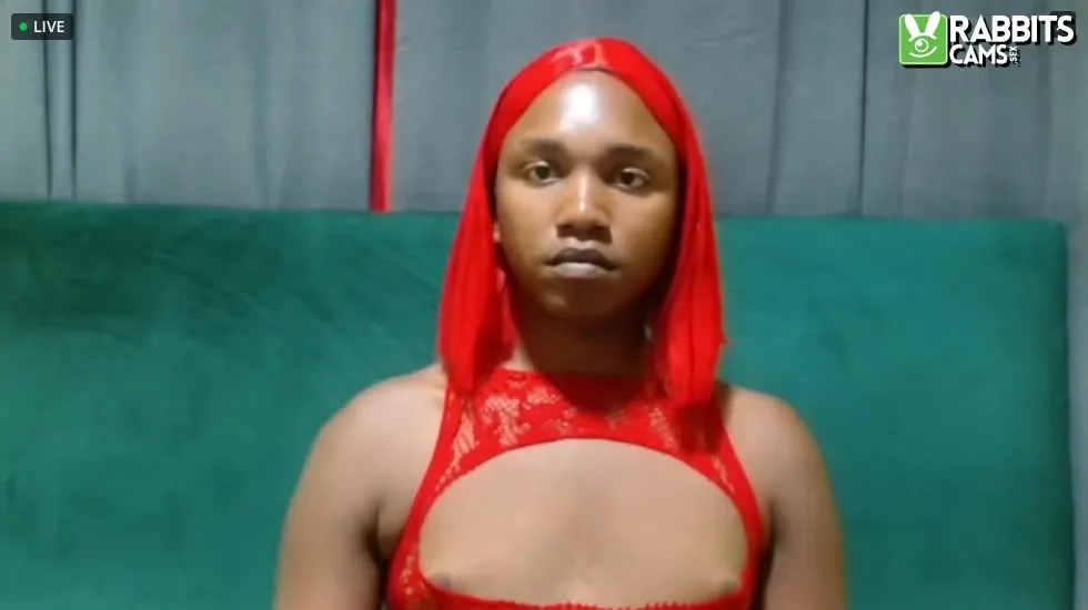 Interprète TallhornyTrans Vidéo 1