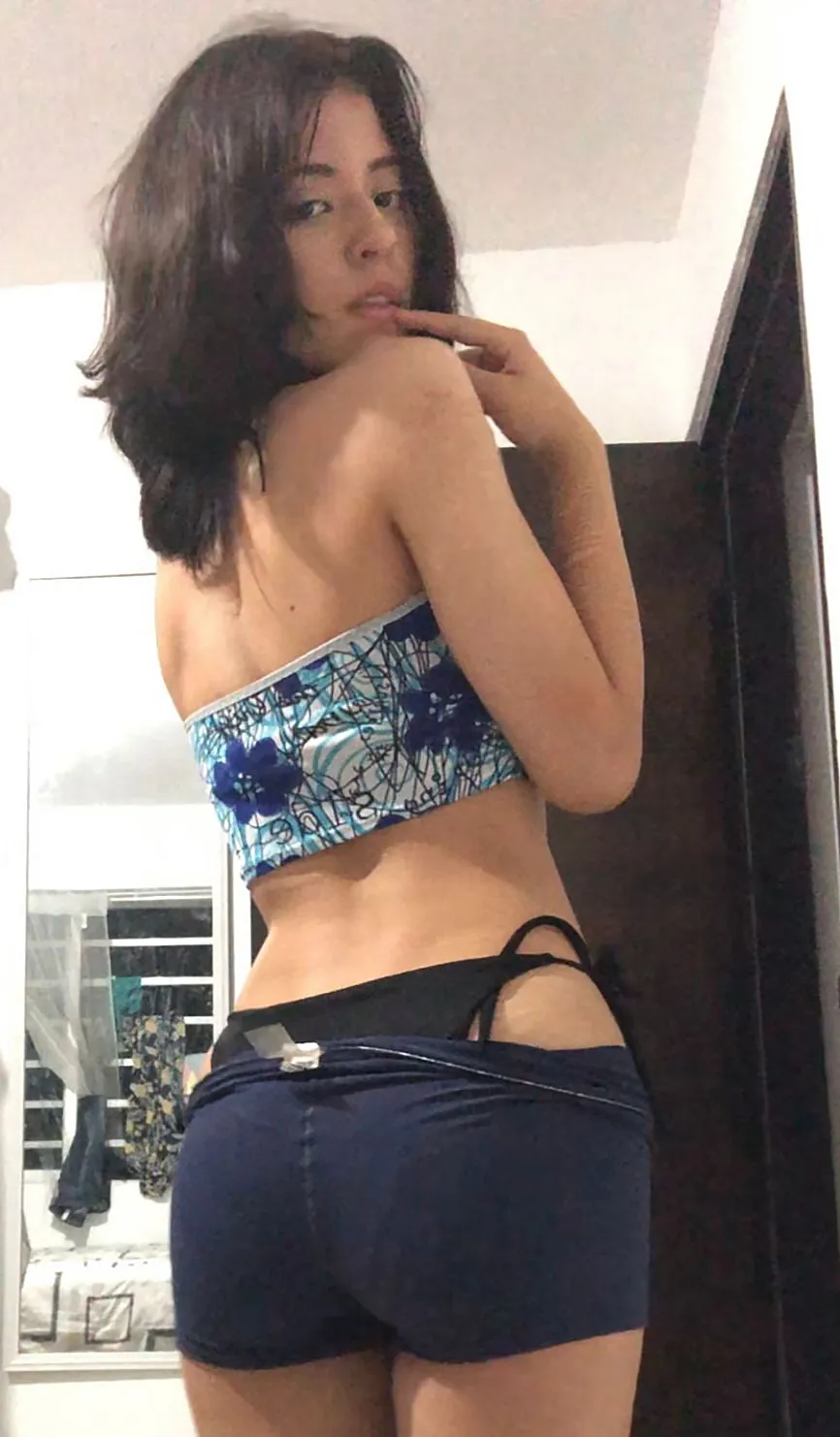 Interprete Selenne_schmittLm Foto 10