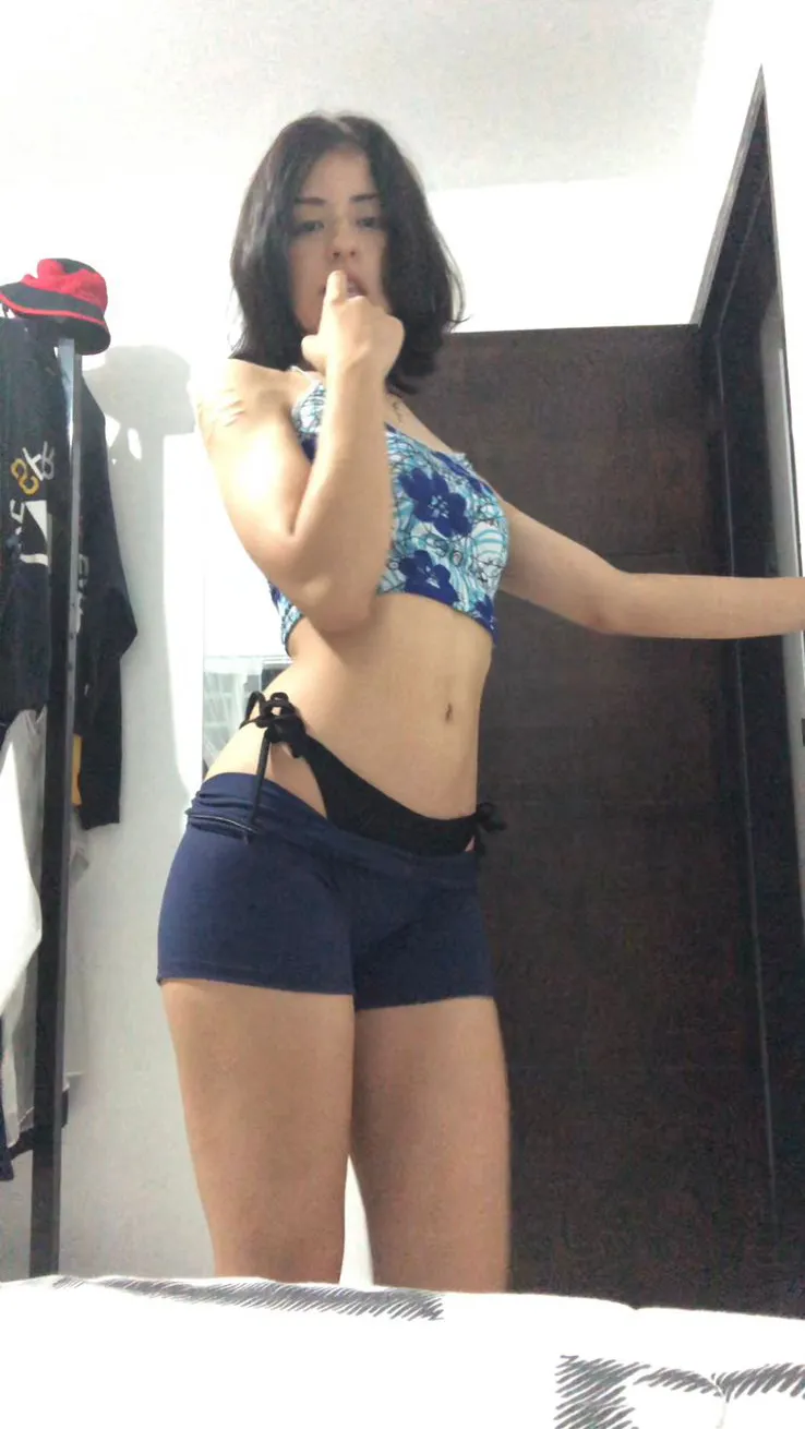 Interprete Selenne_schmittLm Foto 6