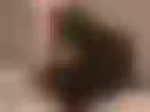 Image de profil du modèle de webcam KajalDarlingg