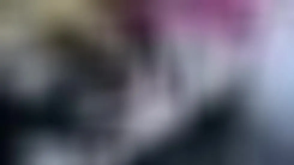 Performer Picoroo Video 1