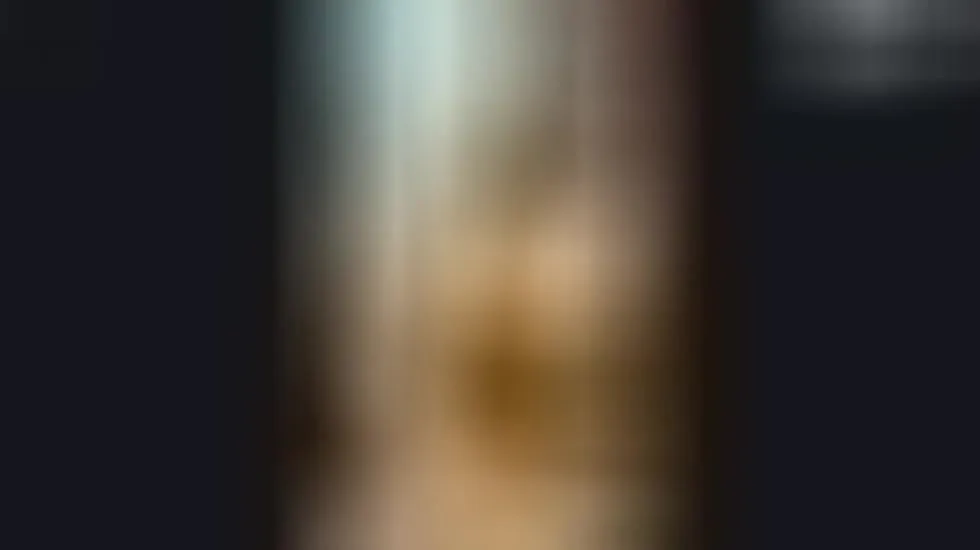 Artist LukieBee Video 1