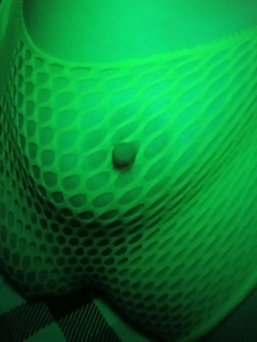 Artista LolaMancini Foto 1