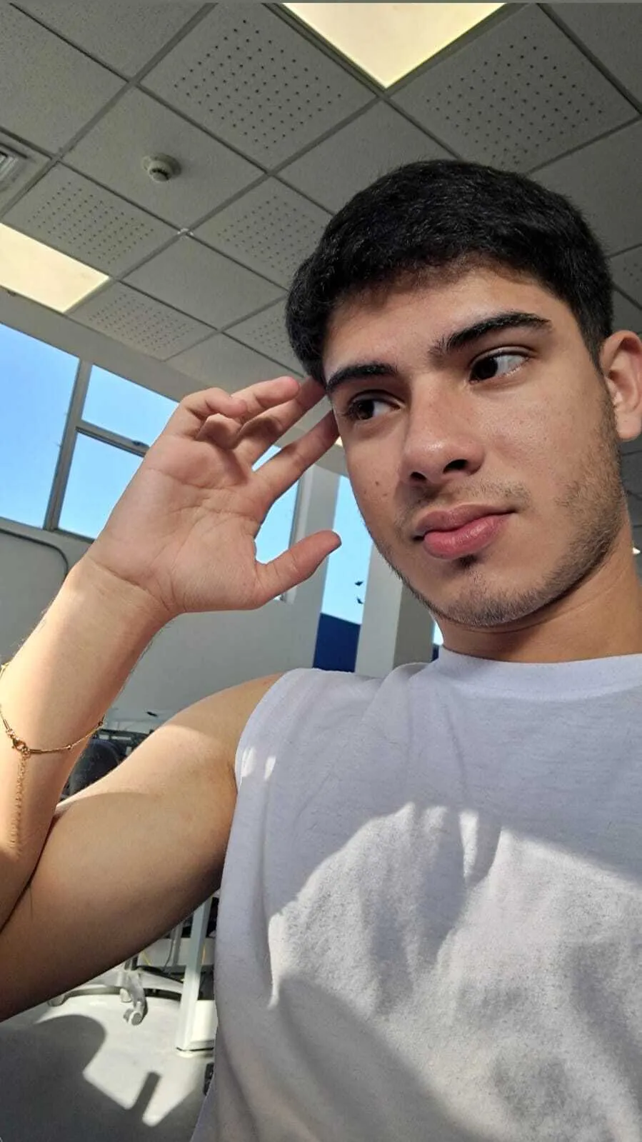 Intérprete Apolo_Gray Foto 12