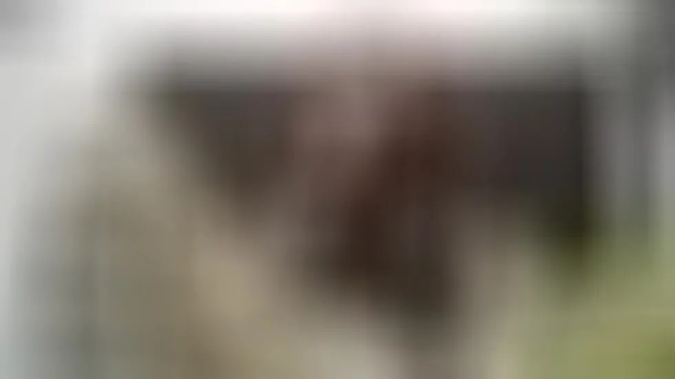 Utøver andy_loverxx Video 1