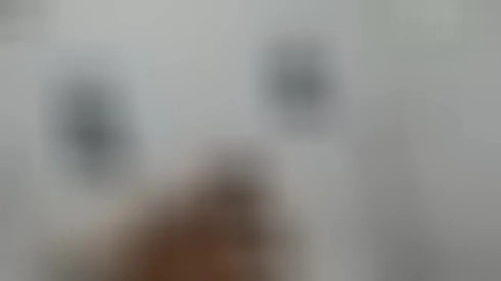 Interprète Salomeh_h Vidéo 1