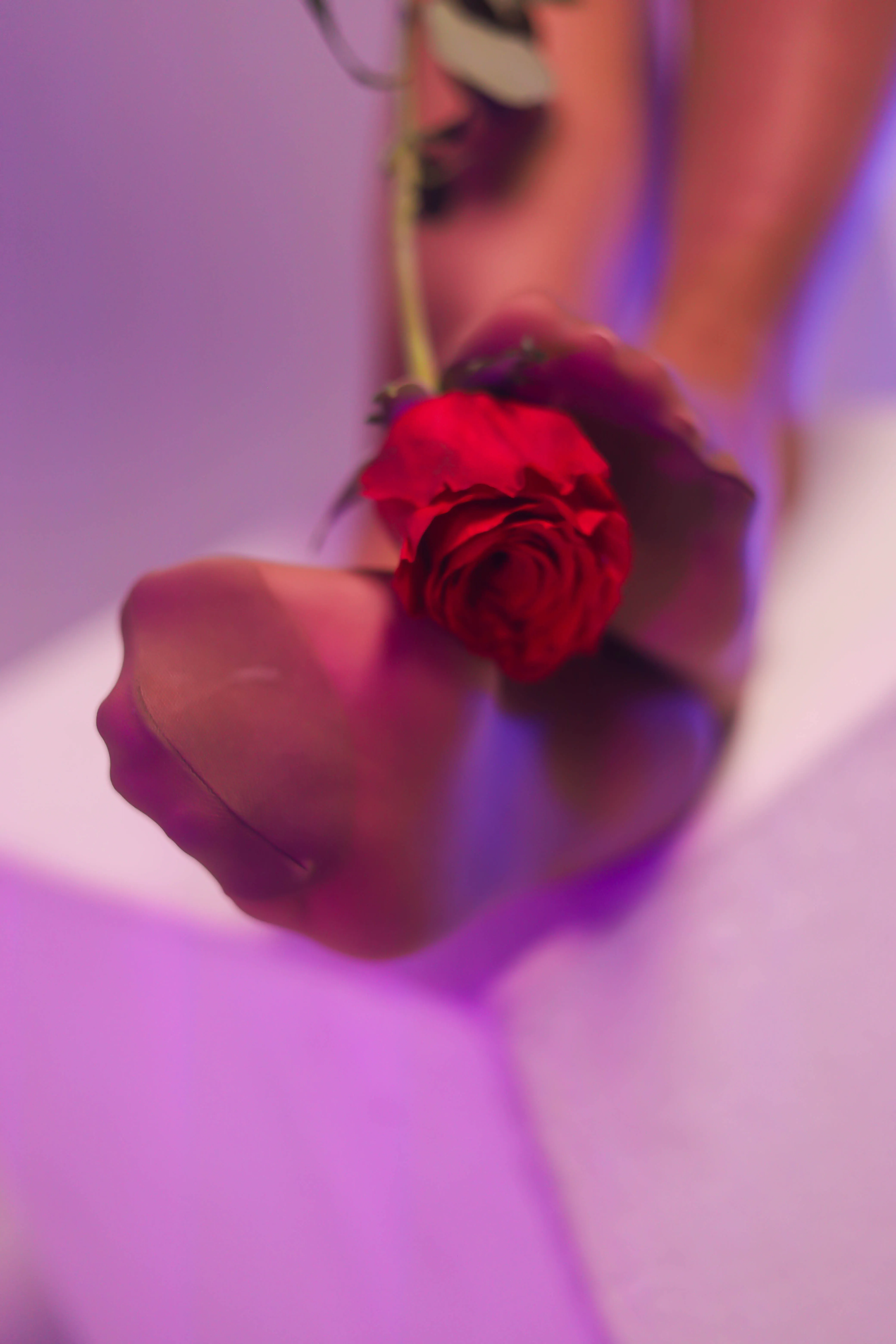 Artista thaliacollins88 Foto 3