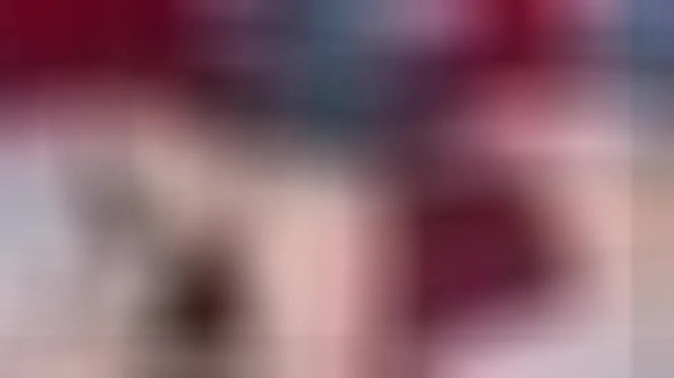 Artist AdelynnReeds Video 1