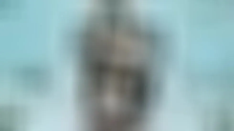 Artiest LilyPoison Video 1