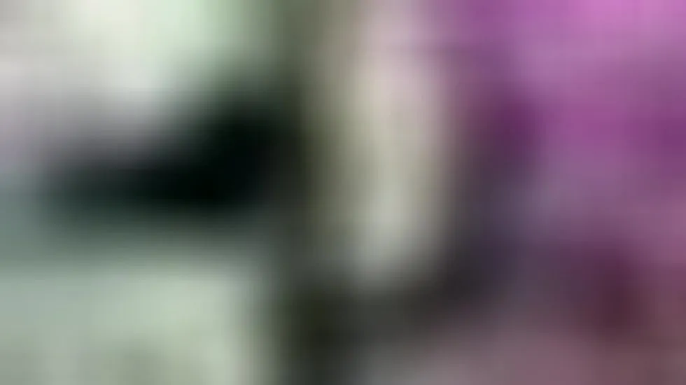 Interprète madame_Anny Vidéo 1