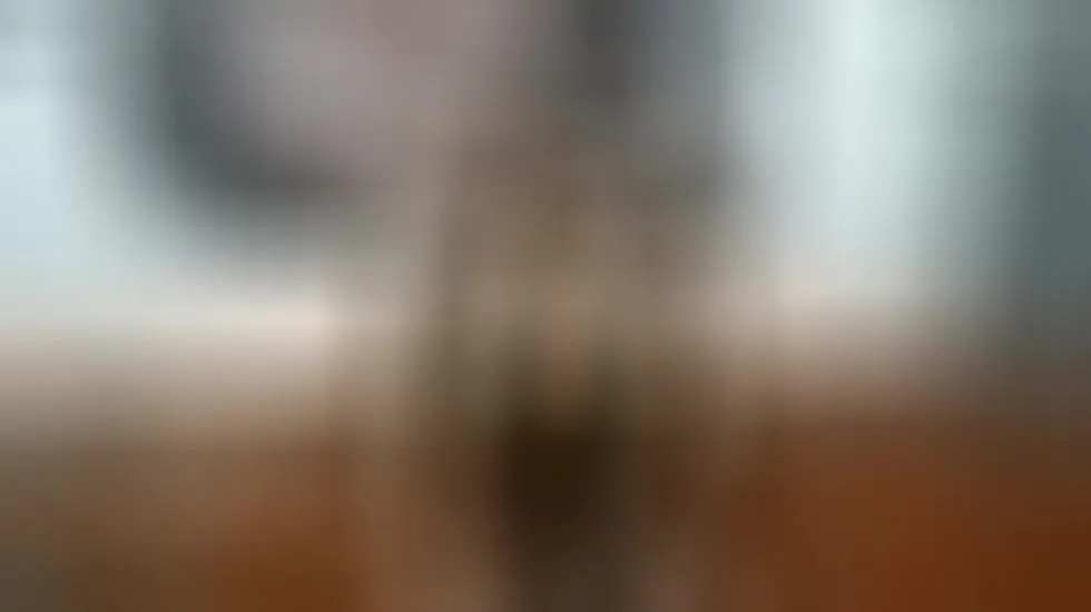 Interprète GorillaGripCunt77 Vidéo 1