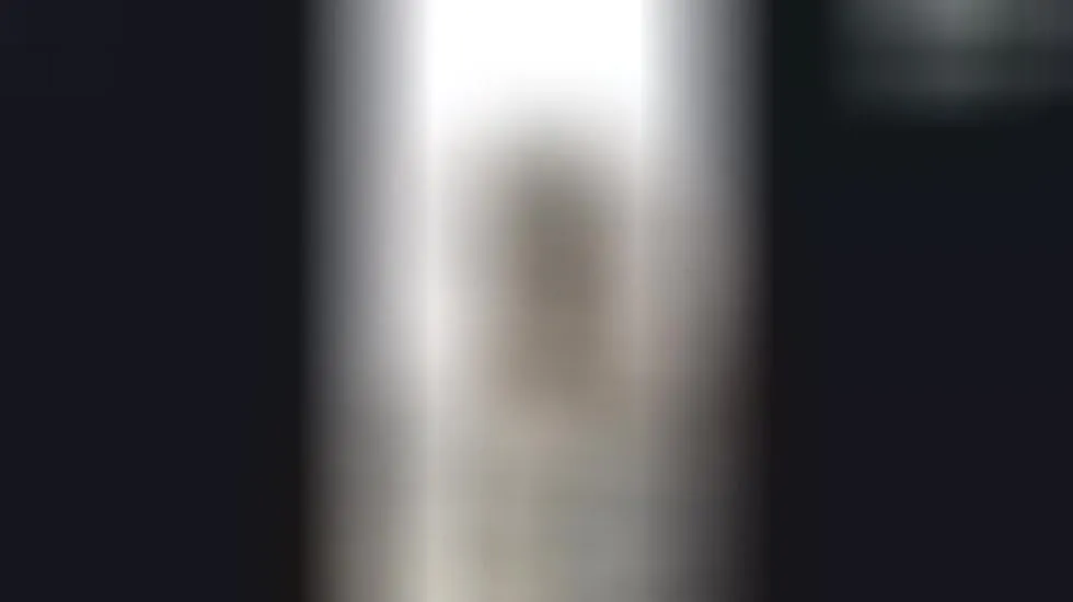 Interprète TamilAlazhi Vidéo 1