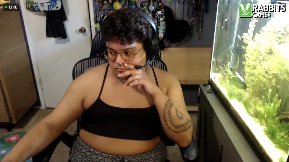 Artiest RudyRebel Video 1