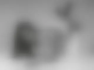 Image de profil du modèle de webcam AnnieMuler