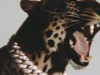 Sexy_Heena69 profielfoto van cam model