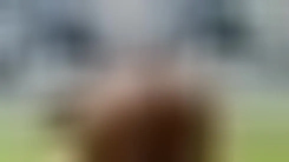 Interprete FlirtyFox322 Video 1