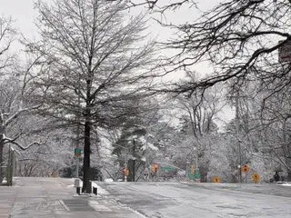 Foto de perfil de modelo de webcam de Sweet_Dreamzz212