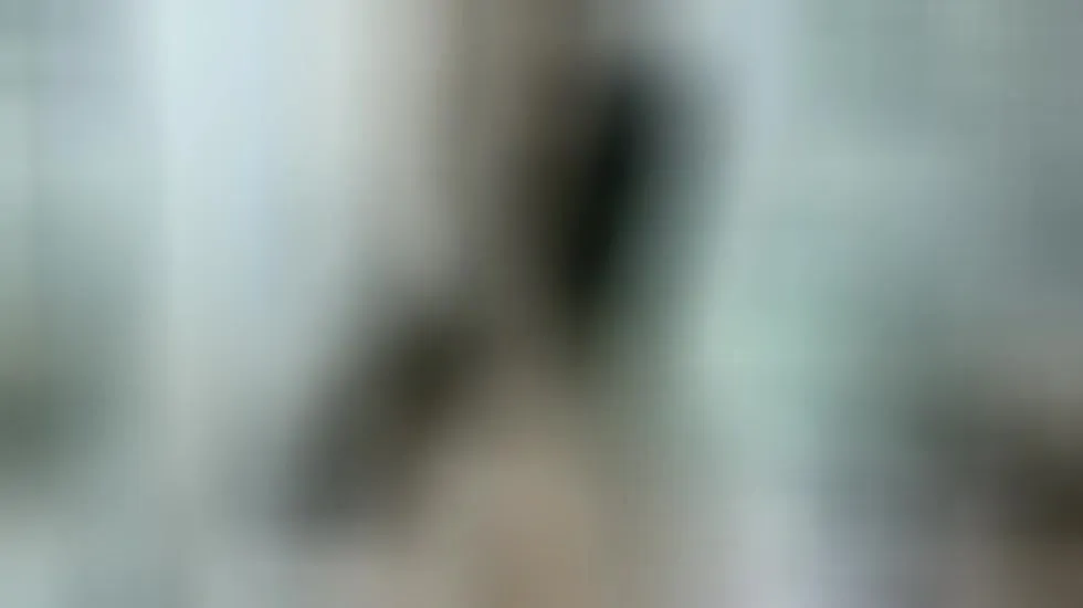 Darsteller Celeste_Dom Video 1