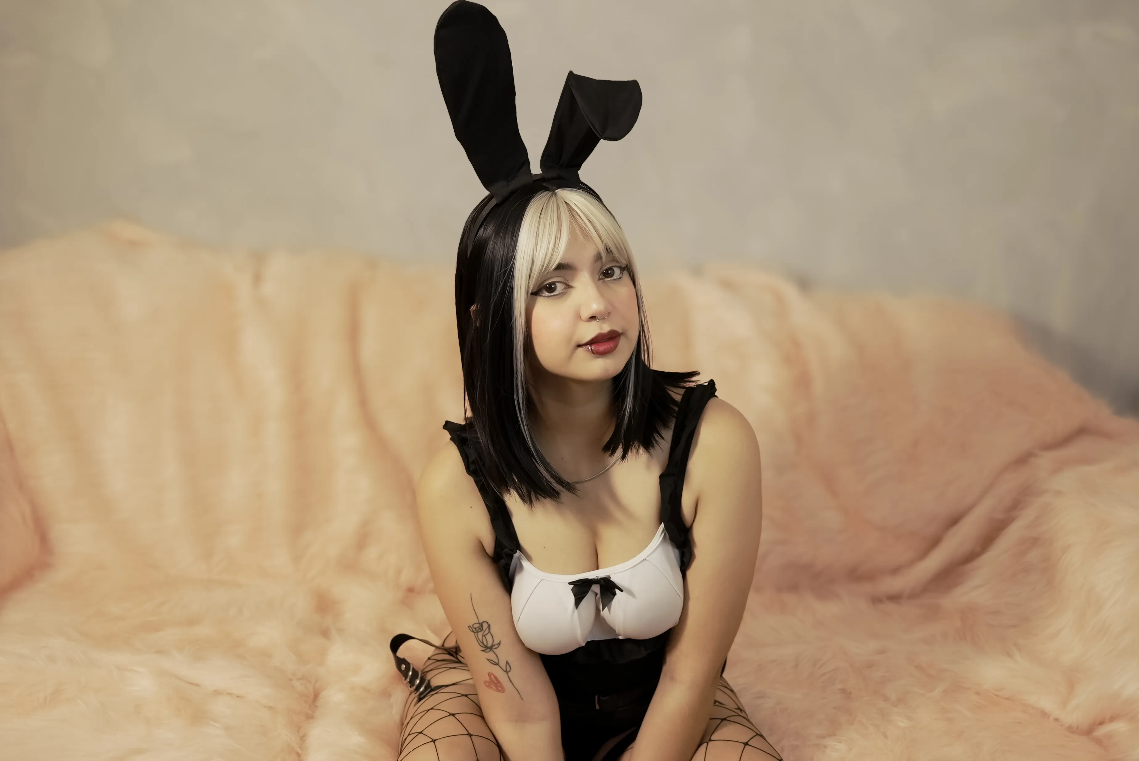 Interprète MekariFox Photo 4