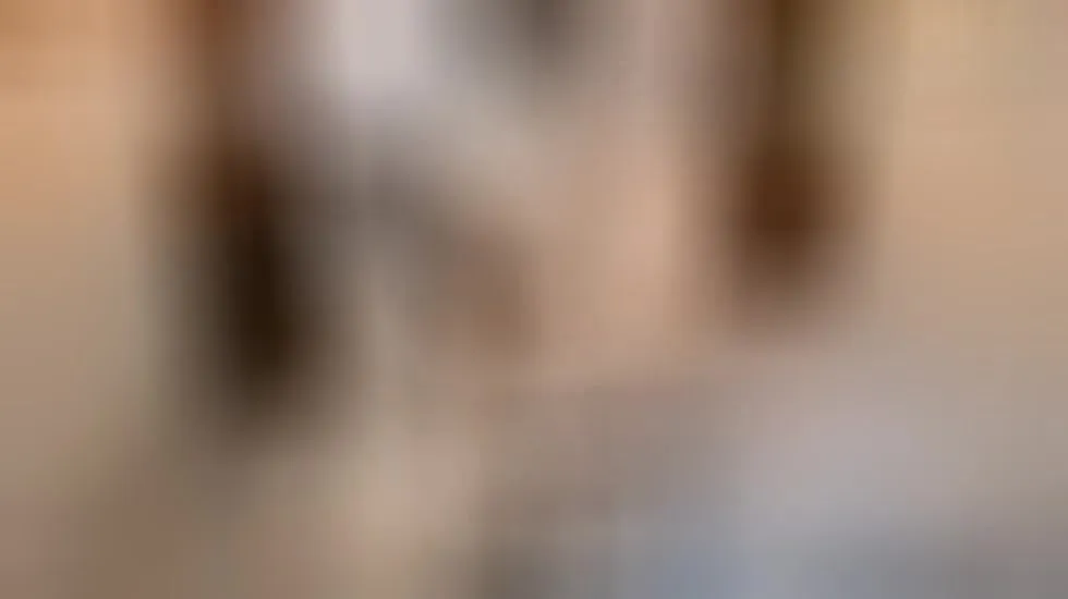 Interprète LaneyRoberts20 Vidéo 1
