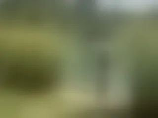 Lolaperrys