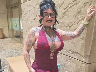 Ventressink immagine del profilo del modello di cam