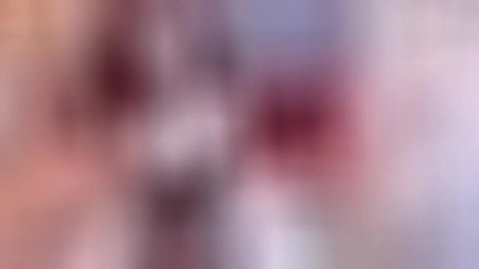 Intérprete EvaaLux Video 1